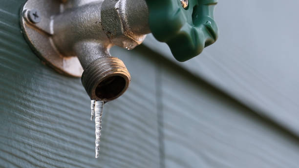 Best Leak Detection Services  in Woodstock, VA